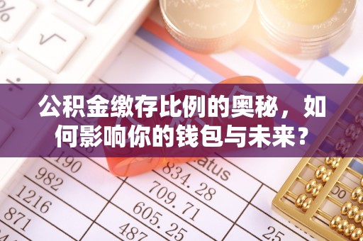 思明公积金缴存比例的奥秘，如何影响你的钱包与未来？