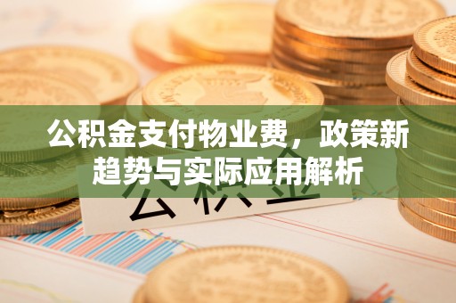 思明公积金支付物业费，政策新趋势与实际应用解析