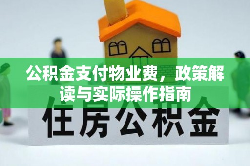 思明公积金支付物业费，政策解读与实际操作指南
