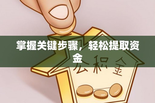 思明掌握关键步骤，轻松提取资金