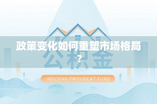 思明政策变化如何重塑市场格局？