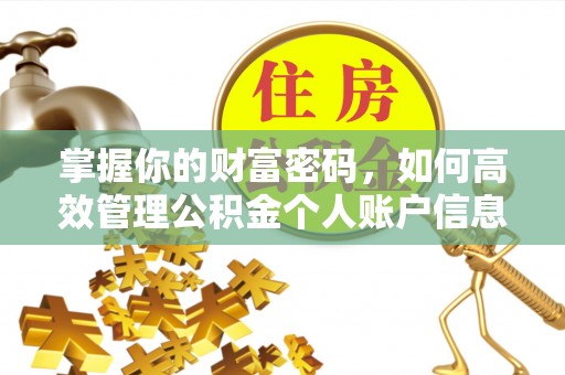 思明掌握你的财富密码，如何高效管理公积金个人账户信息