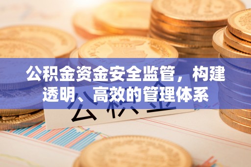 思明公积金资金安全监管，构建透明、高效的管理体系
