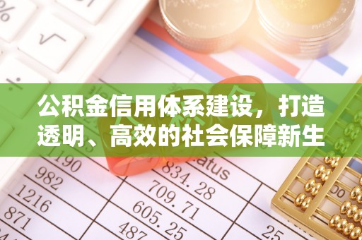思明公积金信用体系建设，打造透明、高效的社会保障新生态