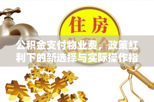 思明公积金支付物业费，政策红利下的新选择与实际操作指南