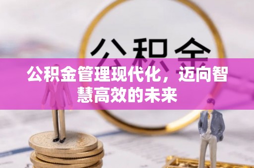 思明公积金管理现代化，迈向智慧高效的未来