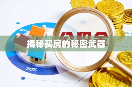 思明揭秘买房的秘密武器