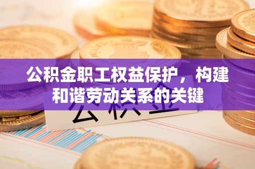 思明公积金职工权益保护，构建和谐劳动关系的关键