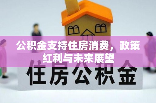 思明公积金支持住房消费，政策红利与未来展望