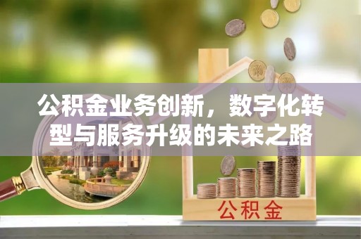 思明公积金业务创新，数字化转型与服务升级的未来之路