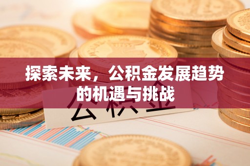 思明探索未来，公积金发展趋势的机遇与挑战