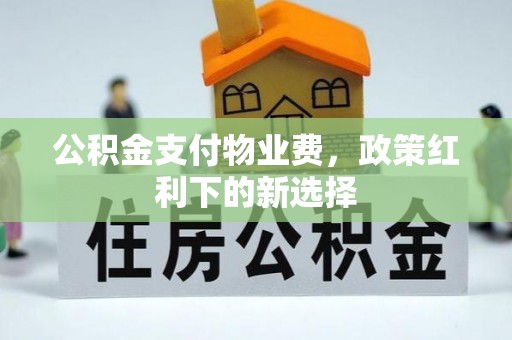 思明公积金支付物业费，政策红利下的新选择