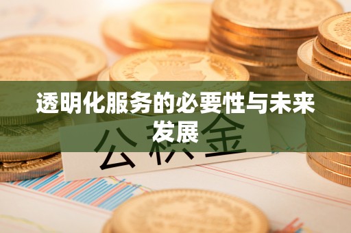 思明透明化服务的必要性与未来发展