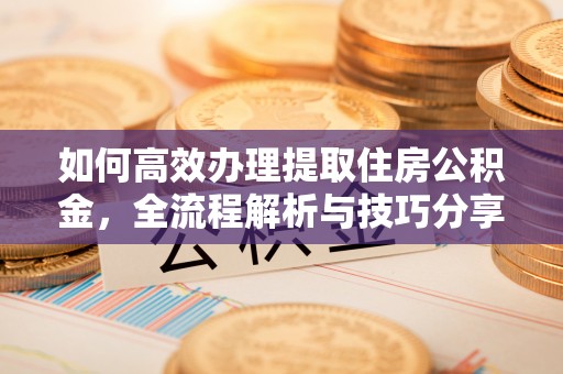 思明如何高效办理提取住房公积金，全流程解析与技巧分享