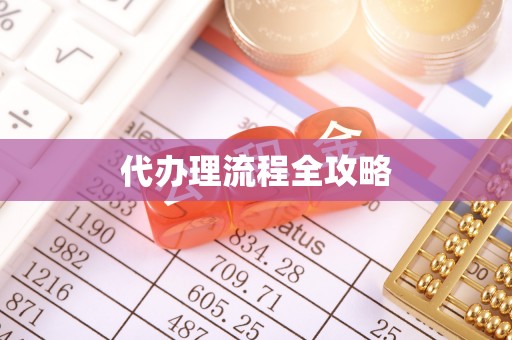 思明代办理流程全攻略