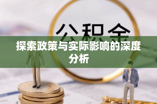 思明探索政策与实际影响的深度分析