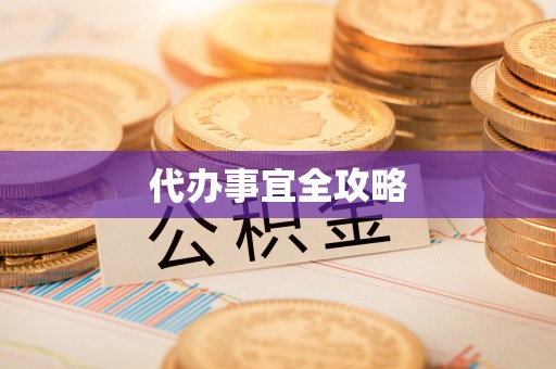 思明代办事宜全攻略