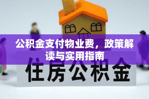 思明公积金支付物业费，政策解读与实用指南