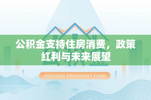 思明公积金支持住房消费，政策红利与未来展望