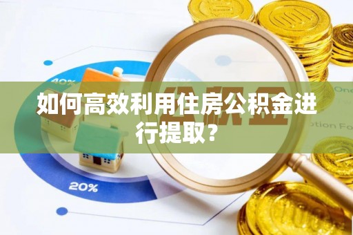 思明如何高效利用住房公积金进行提取？