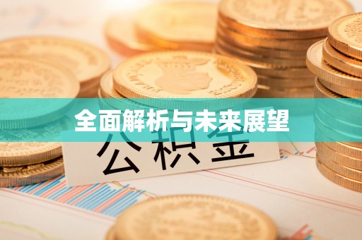 思明全面解析与未来展望