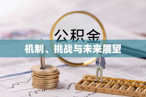 思明机制、挑战与未来展望