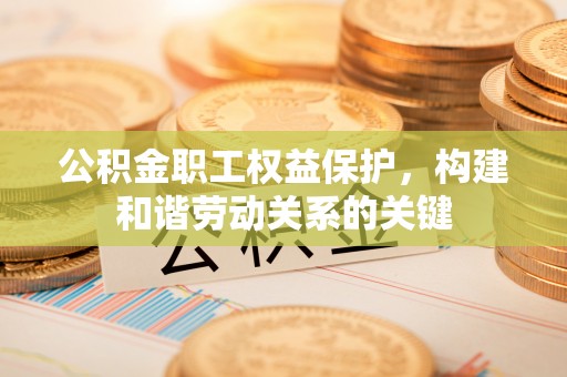 思明公积金职工权益保护，构建和谐劳动关系的关键