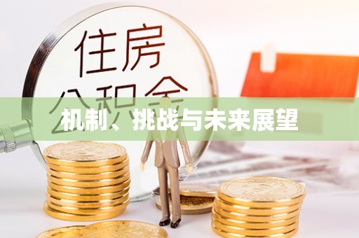 思明机制、挑战与未来展望